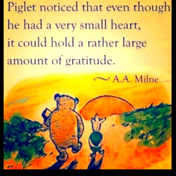 😵‍💫 LIVING the DREAM BREWERY Colorado Turquoise Tee-Shirt UniSex SZ L/XL - Picture 2 of 14